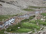 0631 Nubra Valley 15-08-2009 (Medium)