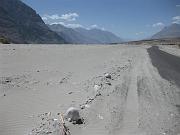 0636 Nubra Valley 15-08-2009 (Medium)