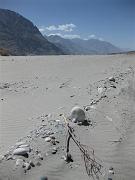 0637 Nubra Valley 15-08-2009 (Medium)