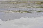 0639 9315 Nubra Valley 16-08-2009 (Medium)