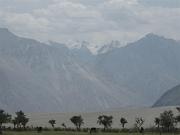 0642 Nubra Valley 16-08-2009 (Medium)