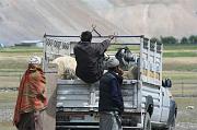 0803 Kashmir Border 19-08-2009 (Medium)