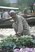 1037 Srinigar Floating Market 21-08-2009 (Medium)