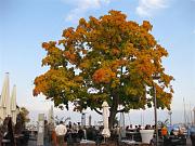 856 Lake Constance Oct 08 (800x600)